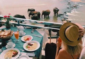 Hotel Elephant Park - NEW DEAL! Half Off Airport Pickups Available